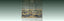 Paravents Japonais et Peintures
